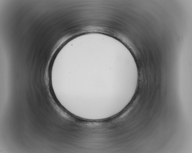 X0000115101082200911241229