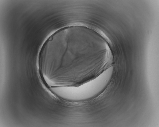 X0000115101084200911241229