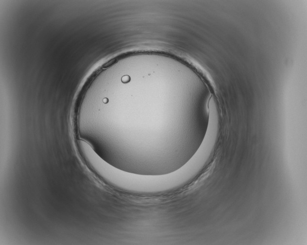 X0000115101085200911241229