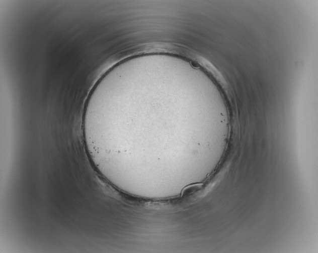 X0000115101089200911241229