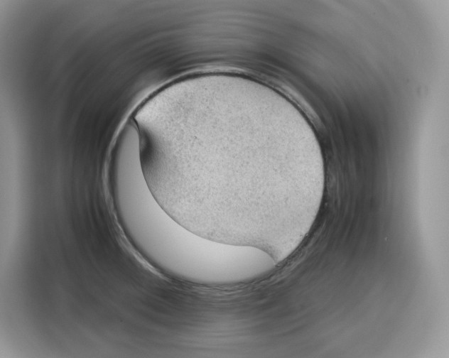 X0000115101092200911241229