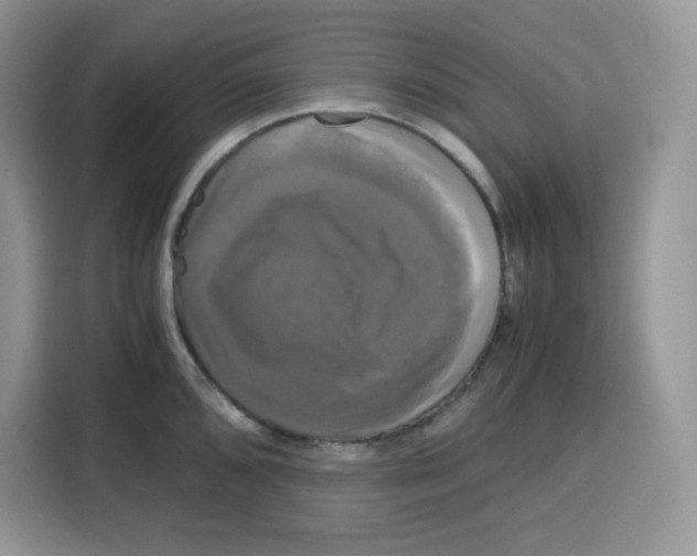 X0000115101096200911241228