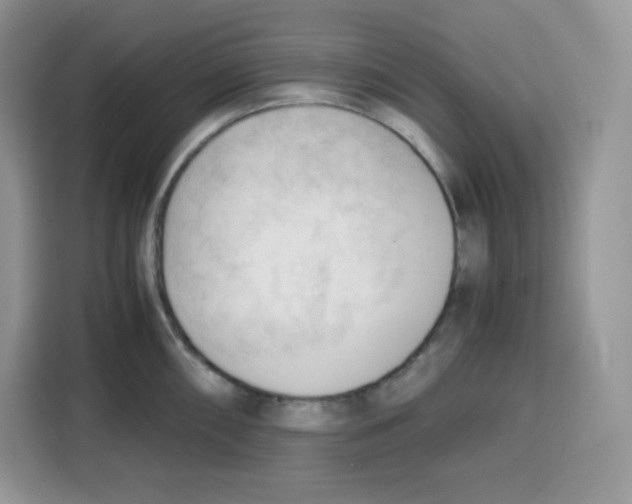 X0000115101098200911241228