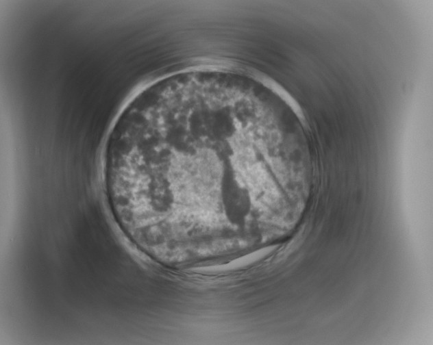 X0000115101099200911241228