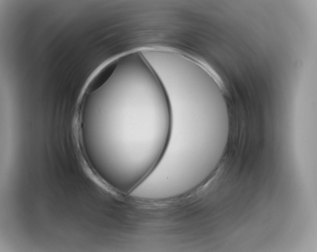 X0000115101100200911241228