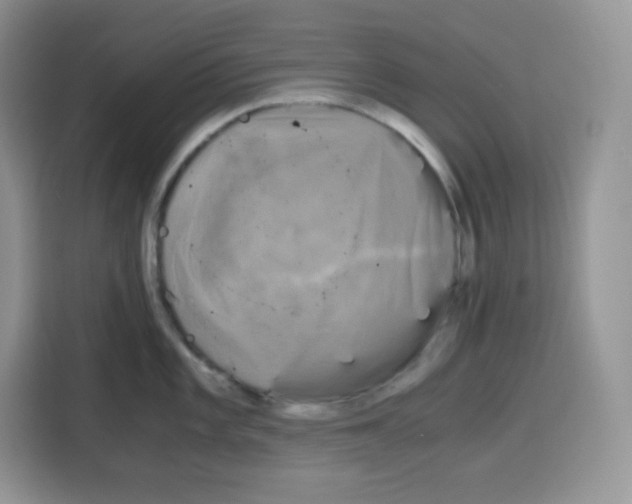 X0000115101101200911241228