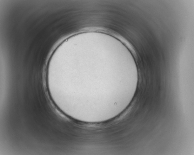 X0000115101102200911241228