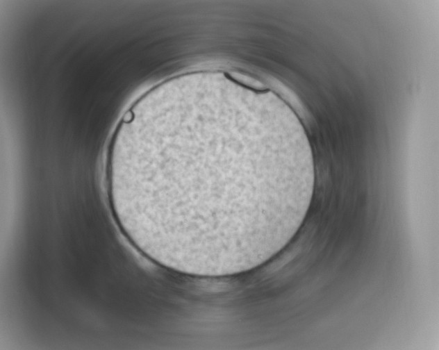 X0000115101103200911241228