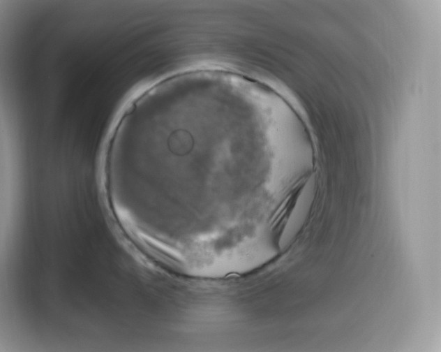 X0000115101104200911241228