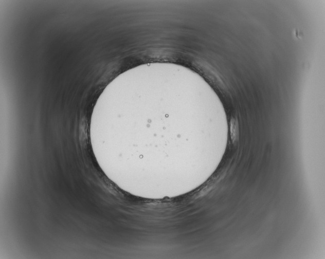 X0000115101107200911241228