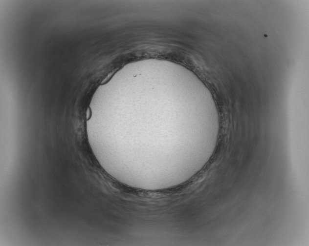 X0000115101109200911241228