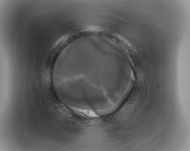 X0000115101110200911241228