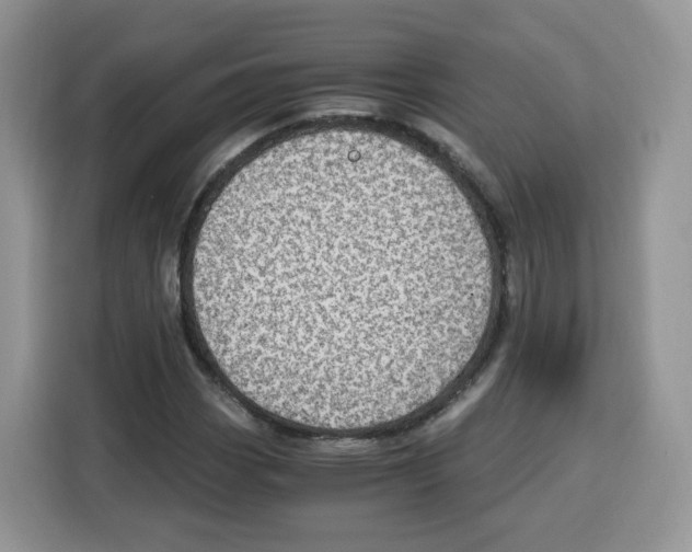 X0000115101113200911241228