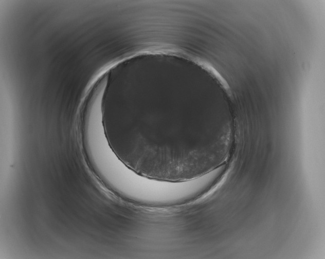 X0000115101114200911241228