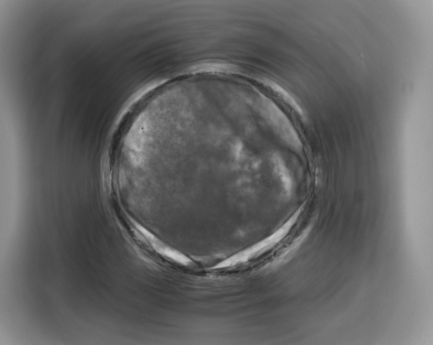 X0000115101117200911241228