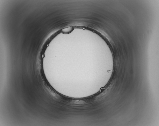 X0000115101119200911241228