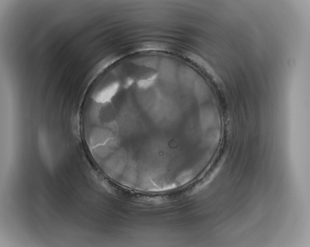 X0000115101121200911241228