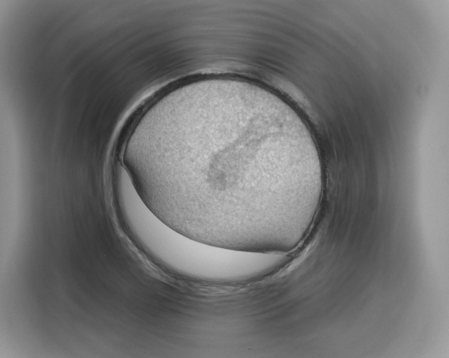 X0000115101122200911241228