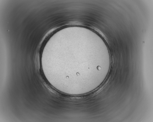 X0000115101123200911241228