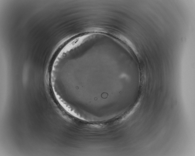 X0000115101125200911241228