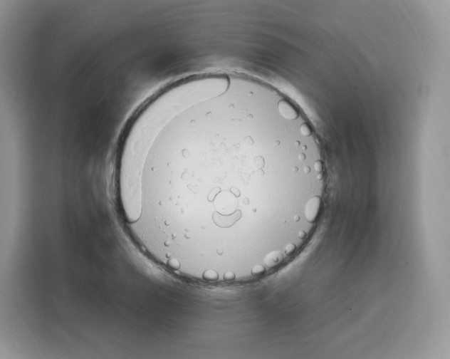 X0000115101126200911241228