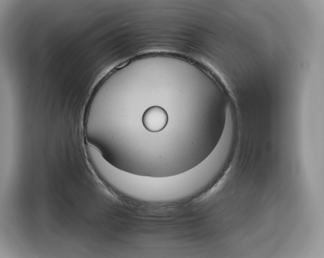 X0000115101129200911241228