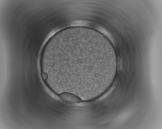 X0000115101130200911241228