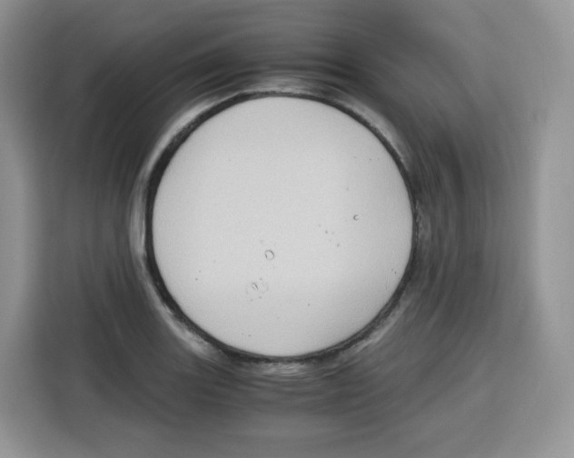 X0000115101131200911241228