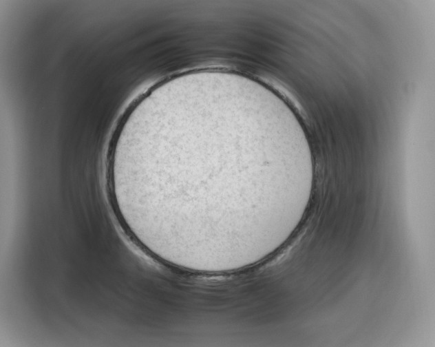 X0000115101135200911241228