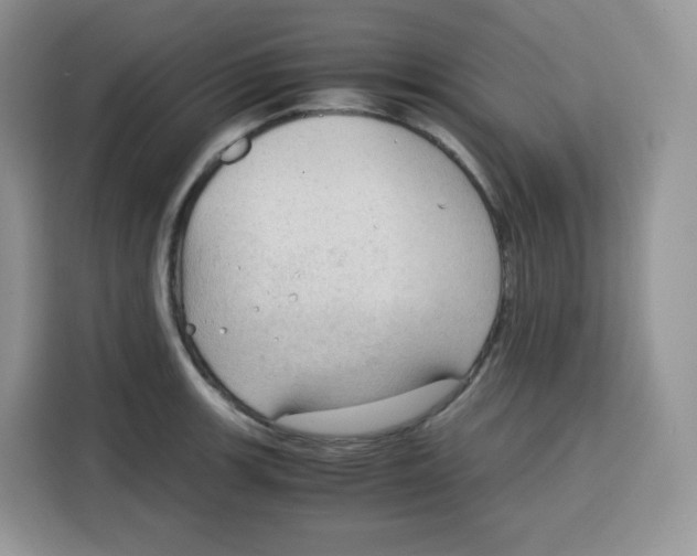 X0000115101139200911241228