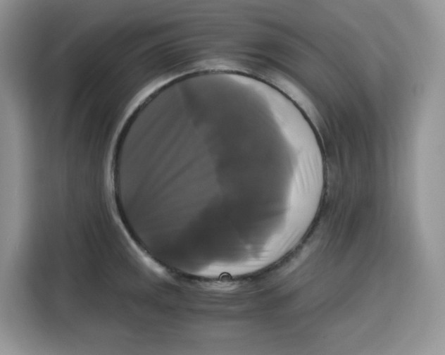 X0000115101141200911241228