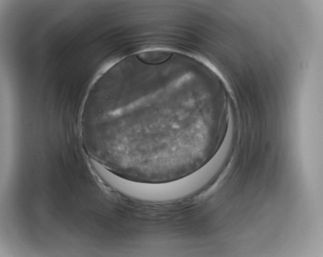 X0000115101145200911241228