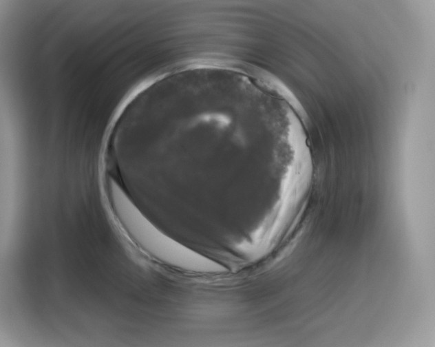 X0000115101146200911241228