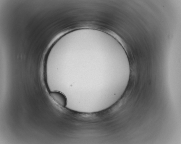 X0000115101147200911241228