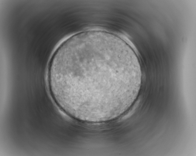 X0000115101149200911241228