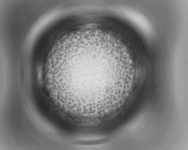 X0000115101150200911241228