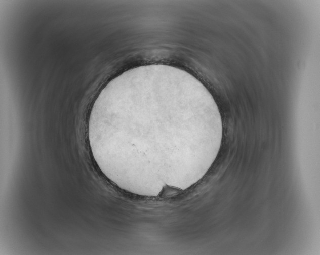 X0000115101153200911241228