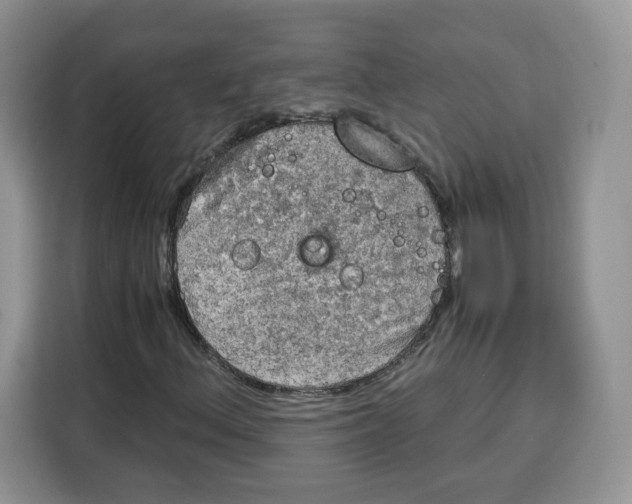 X0000115101156200911241228