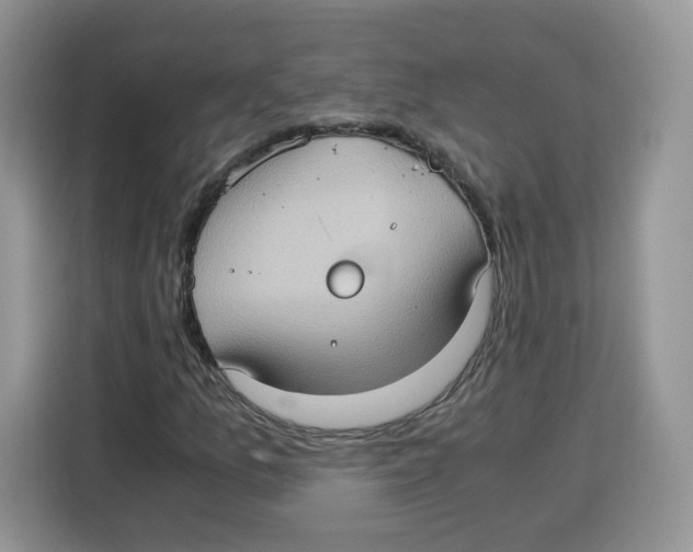 X0000115101157200911241228