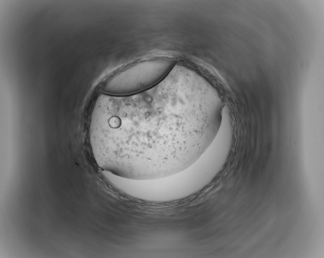 X0000115101160200911241228