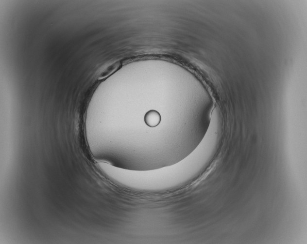 X0000115101161200911241228