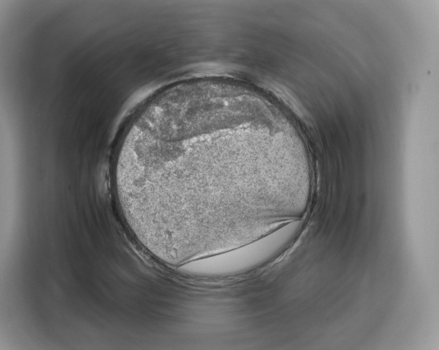 X0000115101164200911241228