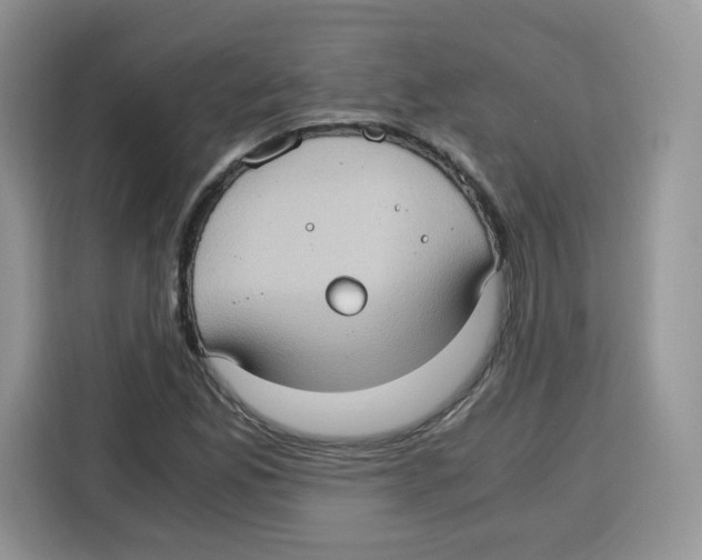 X0000115101165200911241228