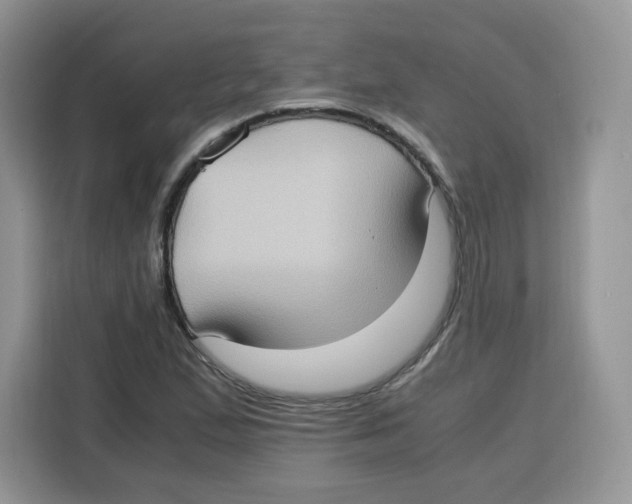 X0000115101167200911241228