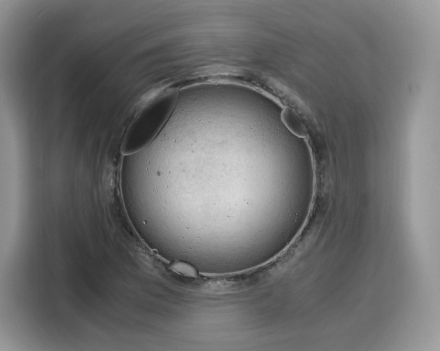 X0000115101169200911241228