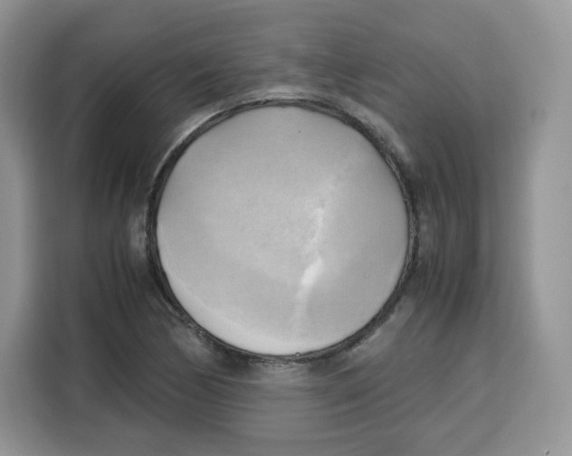 X0000115101170200911241228