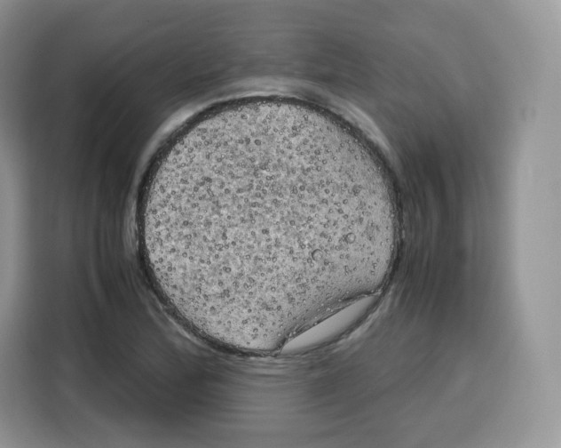 X0000115101172200911241228