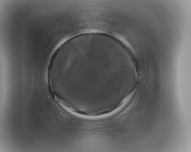 X0000115101173200911241228