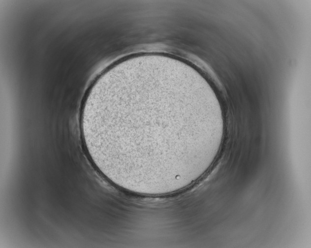 X0000115101176200911241227