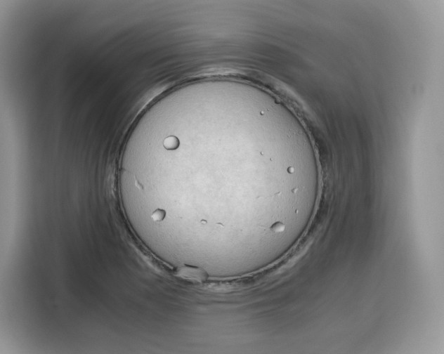 X0000115101177200911241227